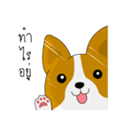 INDY DOG（個別スタンプ：2）