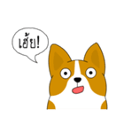 INDY DOG（個別スタンプ：14）