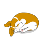 INDY DOG（個別スタンプ：20）