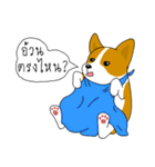 INDY DOG（個別スタンプ：23）