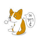 INDY DOG（個別スタンプ：24）