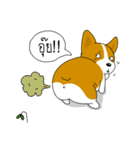 INDY DOG（個別スタンプ：25）