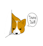 INDY DOG（個別スタンプ：31）