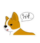 INDY DOG（個別スタンプ：33）