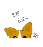 INDY DOG（個別スタンプ：40）