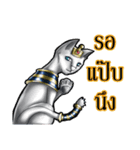 FAHROAH CAT（個別スタンプ：12）