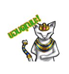 FAHROAH CAT（個別スタンプ：35）