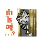 FAHROAH CAT（個別スタンプ：39）