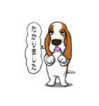 バセットハウンド (犬)5（個別スタンプ：7）