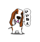 バセットハウンド (犬)5（個別スタンプ：12）