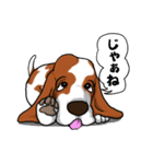 バセットハウンド (犬)5（個別スタンプ：15）