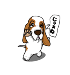 バセットハウンド (犬)5（個別スタンプ：25）