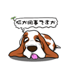 バセットハウンド (犬)5（個別スタンプ：38）