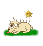 Dobby（個別スタンプ：40）