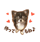 フェレット家族（個別スタンプ：2）