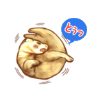 フェレット家族（個別スタンプ：3）