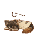 フェレット家族（個別スタンプ：7）