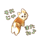 フェレット家族（個別スタンプ：12）