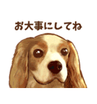 フェレット家族（個別スタンプ：15）