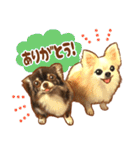 フェレット家族（個別スタンプ：16）