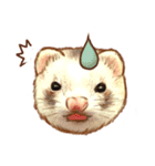 フェレット家族（個別スタンプ：17）