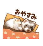 フェレット家族（個別スタンプ：23）