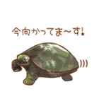 フェレット家族（個別スタンプ：27）