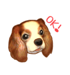 フェレット家族（個別スタンプ：36）