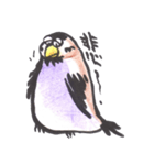 Sparrow SpeShow（個別スタンプ：3）