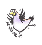 Sparrow SpeShow（個別スタンプ：13）
