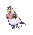 Sparrow SpeShow（個別スタンプ：20）