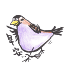 Sparrow SpeShow（個別スタンプ：23）