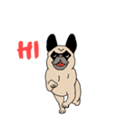 Pug's Gym（個別スタンプ：1）