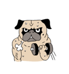 Pug's Gym（個別スタンプ：2）