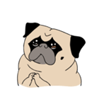 Pug's Gym（個別スタンプ：9）
