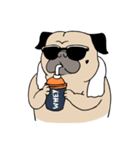 Pug's Gym（個別スタンプ：11）