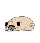 Pug's Gym（個別スタンプ：12）