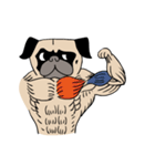 Pug's Gym（個別スタンプ：16）