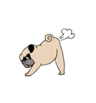 Pug's Gym（個別スタンプ：20）