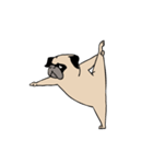 Pug's Gym（個別スタンプ：22）