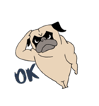 Pug's Gym（個別スタンプ：24）