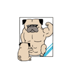 Pug's Gym（個別スタンプ：25）