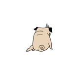 Pug's Gym（個別スタンプ：28）