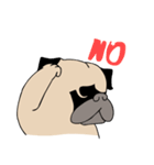 Pug's Gym（個別スタンプ：29）