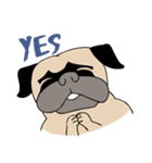 Pug's Gym（個別スタンプ：30）