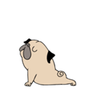 Pug's Gym（個別スタンプ：34）