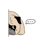 Pug's Gym（個別スタンプ：37）