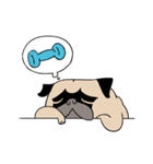 Pug's Gym（個別スタンプ：39）