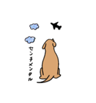 わんらぶ2（個別スタンプ：1）
