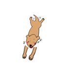 わんらぶ2（個別スタンプ：4）